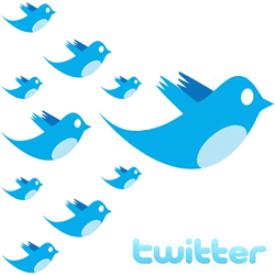 Twitter birds
